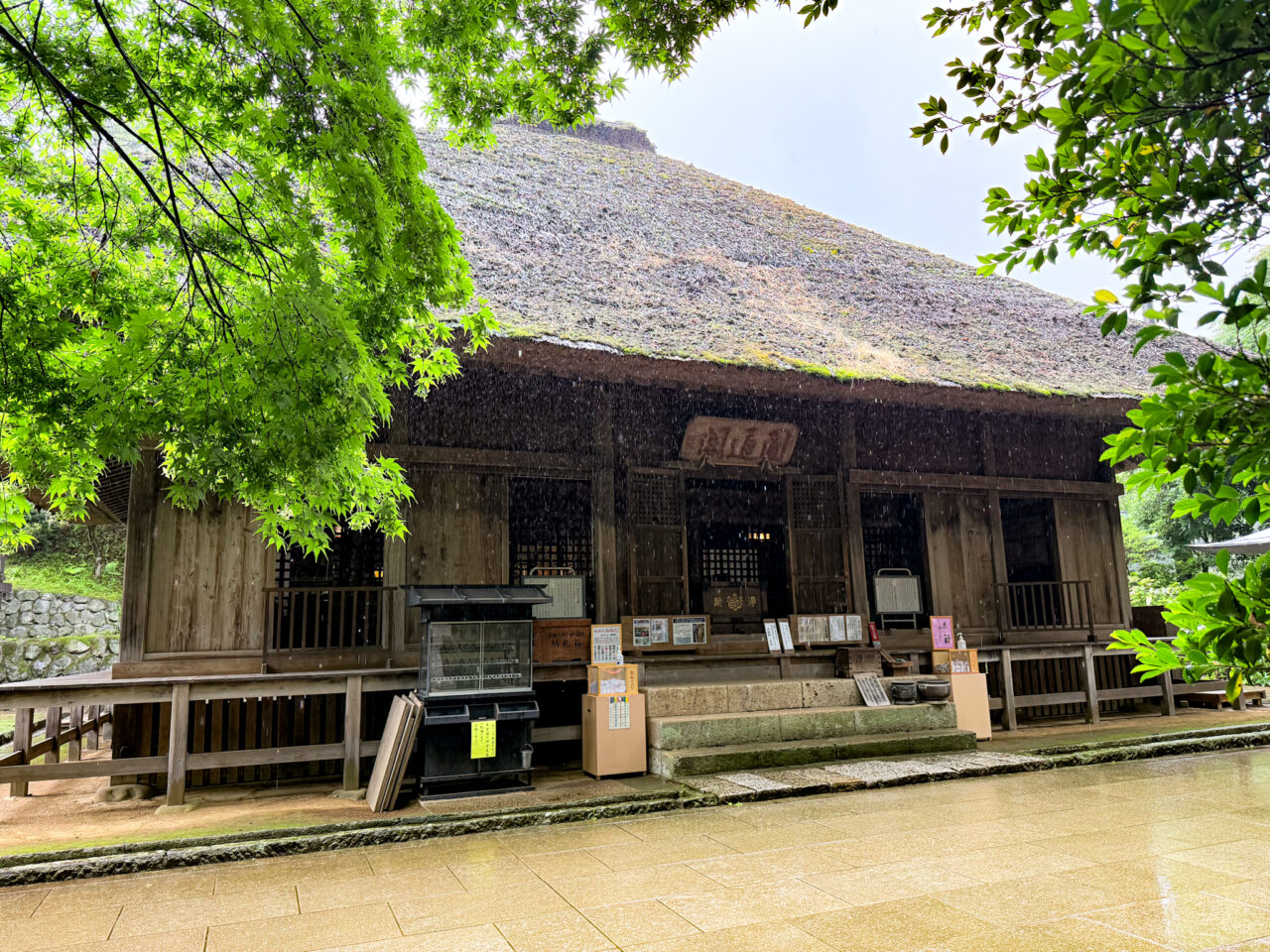 2026年7月 塩船観音寺の紫陽花-1