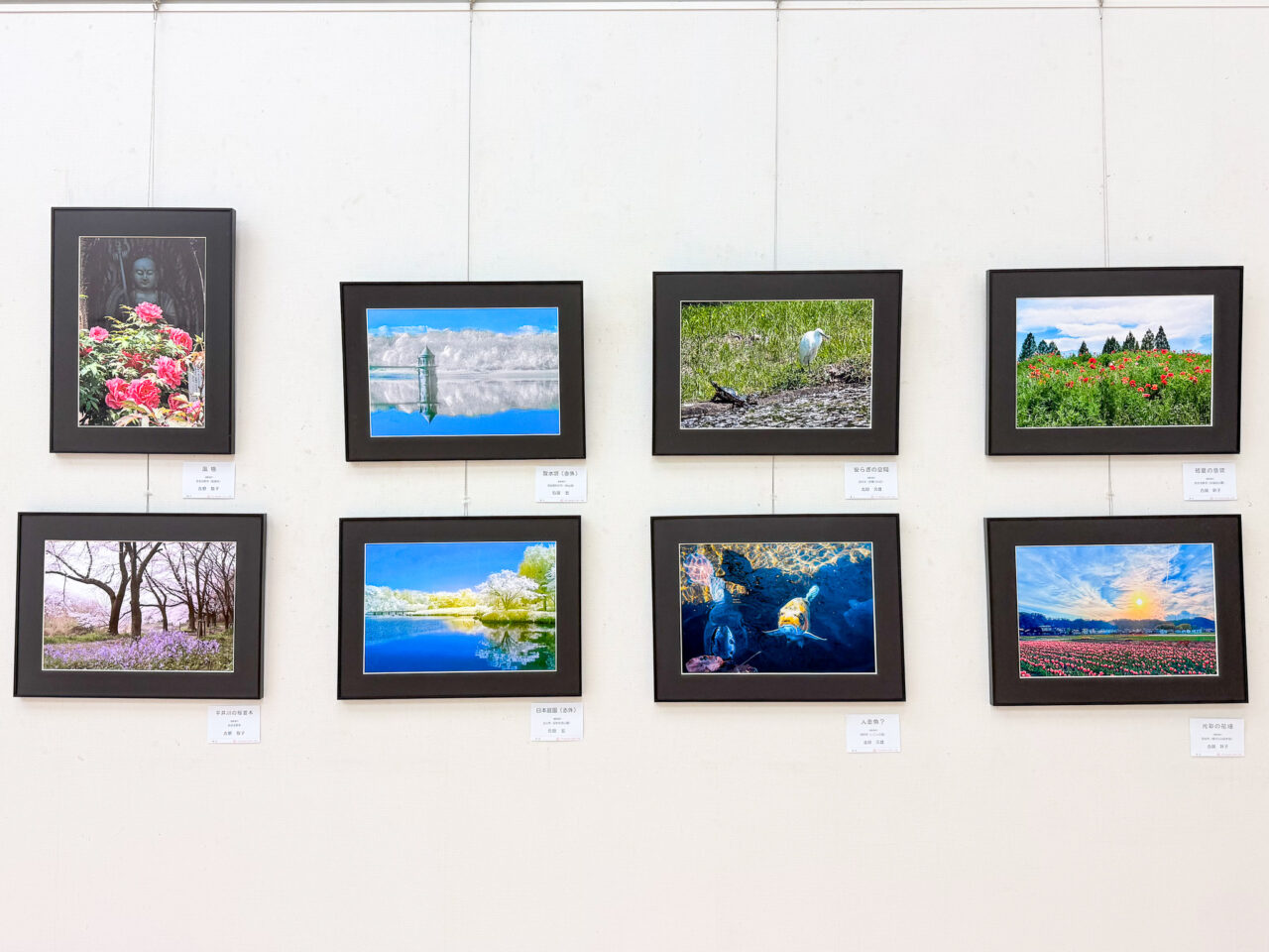2026年6月 羽村市美術工芸展 写真の部 デジタルさくらサークル-2