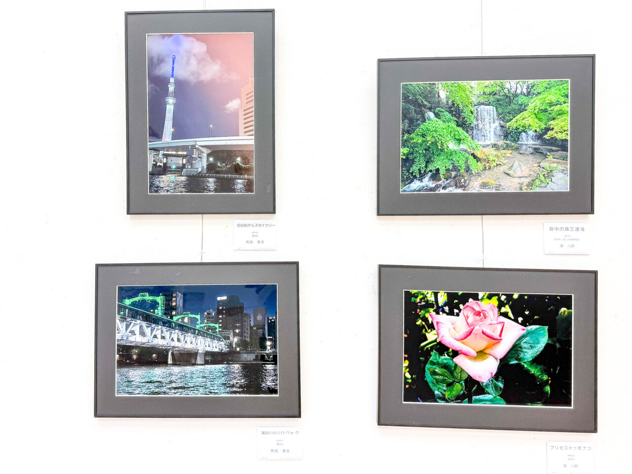 2026年6月 羽村市美術工芸展 写真の部 デジタルさくらサークル-4