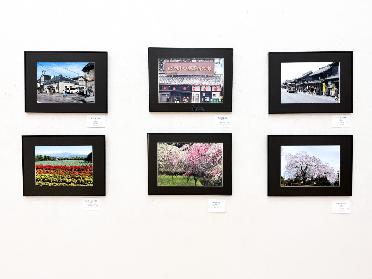 2026年6月 羽村市美術工芸展 写真の部 フォトまいまいず-1