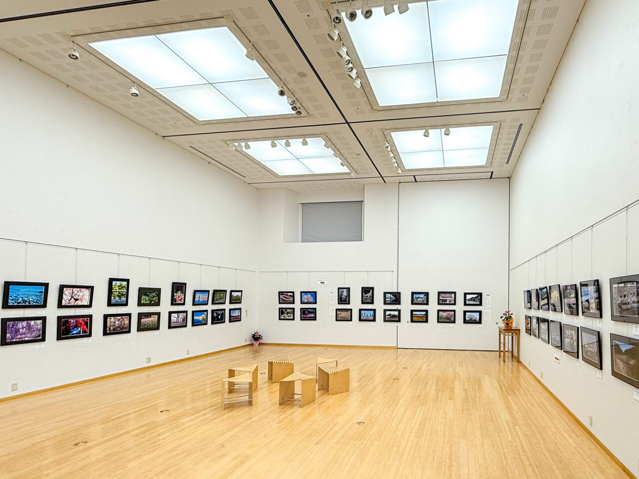 2026年6月 羽村市美術工芸展 写真の部 展示会場