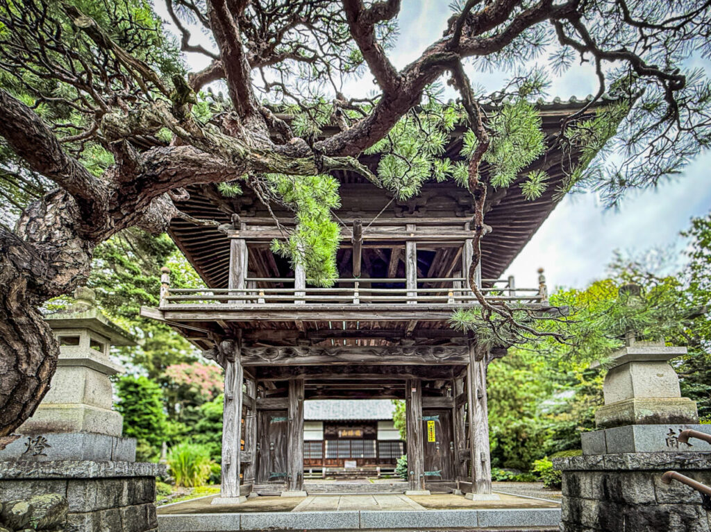 龍珠山 一峰院の鐘楼門