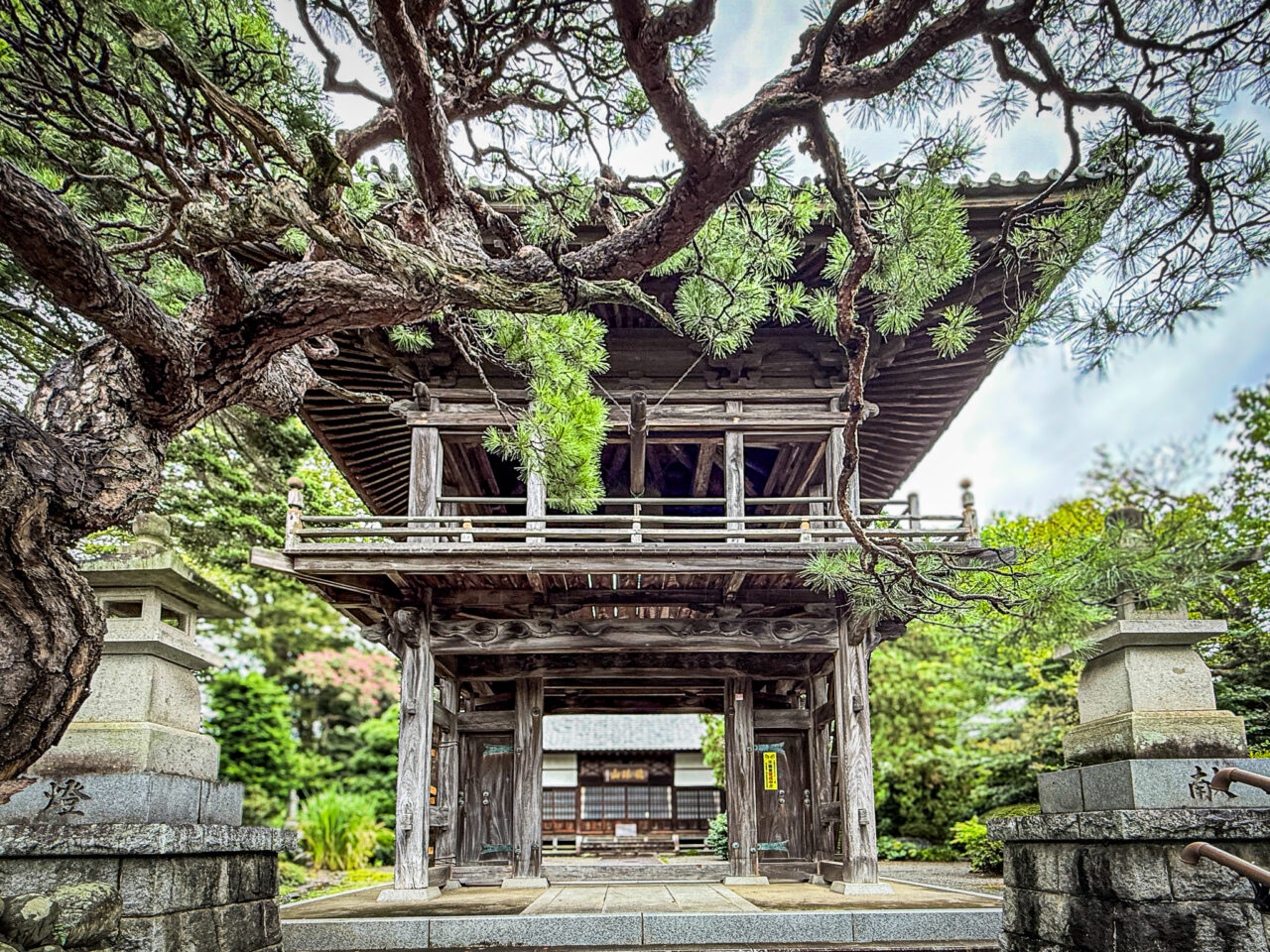 龍珠山 一峰院の鐘楼門