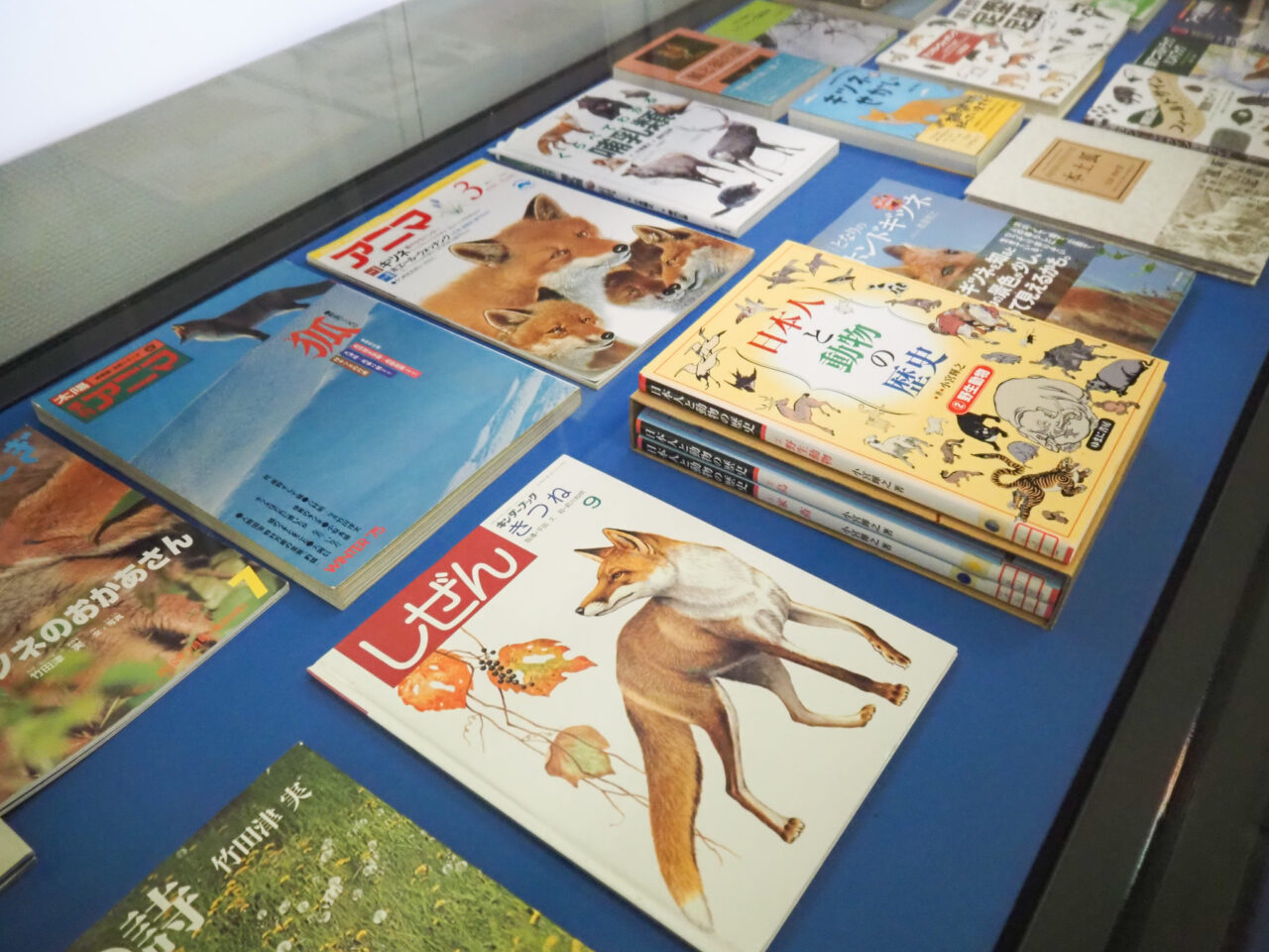 企画展「瑞穂のキツネ」雑誌