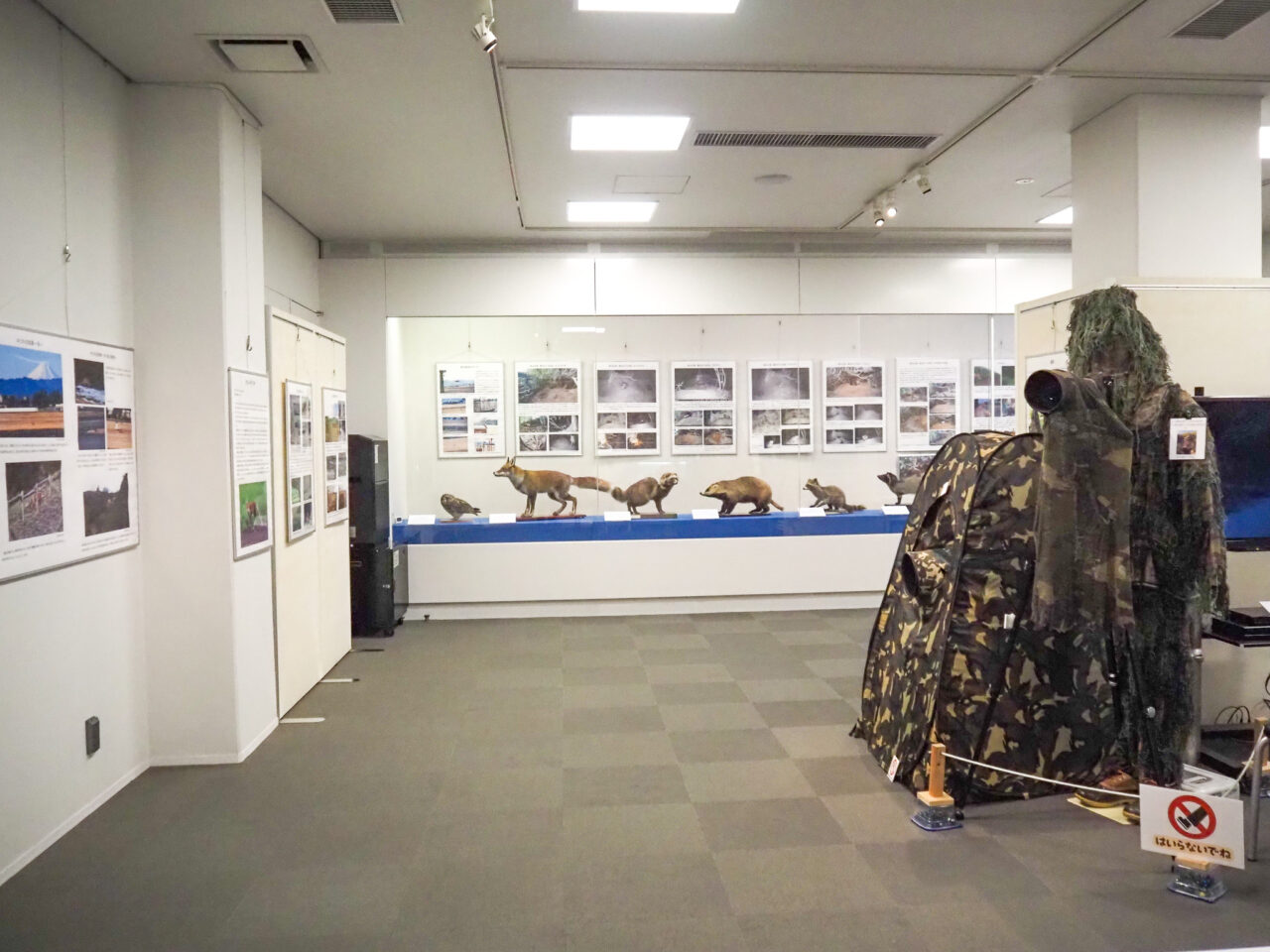 企画展「瑞穂のキツネ」展示室
